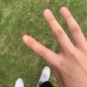 Meet your Posher, Brandon